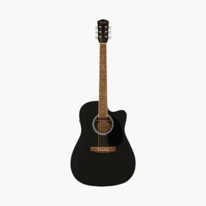 Semi Acoustic Guitars