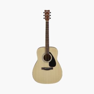 Acoustic Guitar