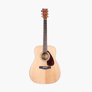 Acoustic Guitar