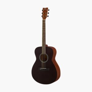 Acoustic Guitar