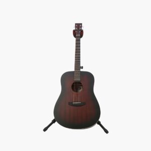 Special Edition Acoustic Guitar