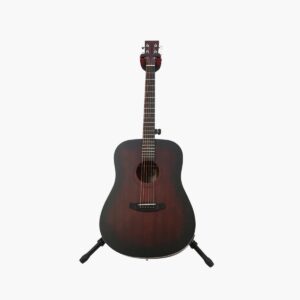 Semi Acoustic Guitar
