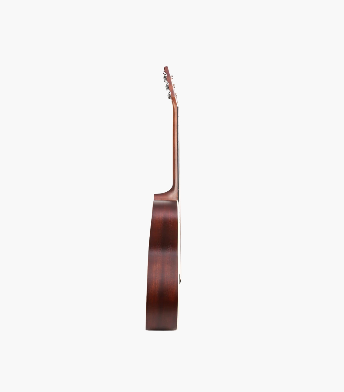 Acoustic Guitar