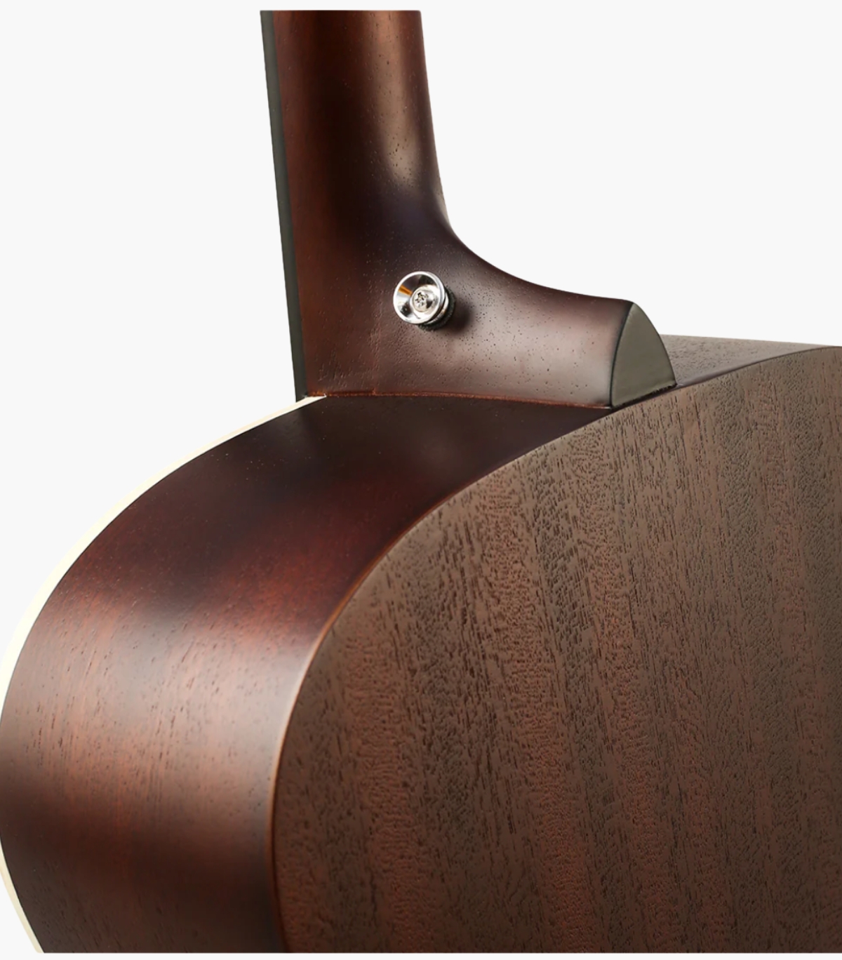 Orchestra Acoustic Guitar