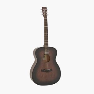 Acoustic Guitar TC3