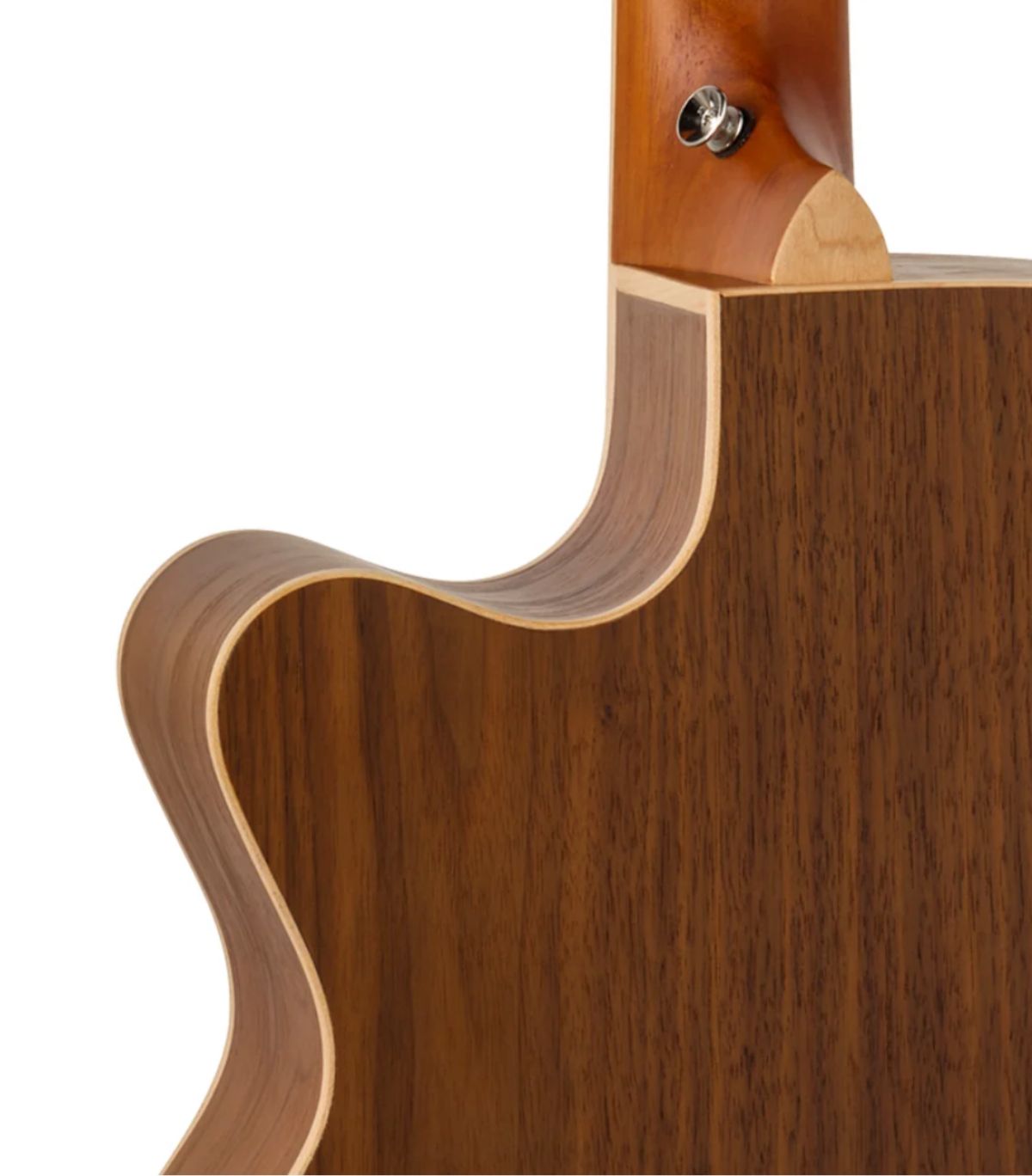 Tanglewood TRU4CEAW Reunion Pro Series Super Folk Semi Acoustic Guitar - Image 10